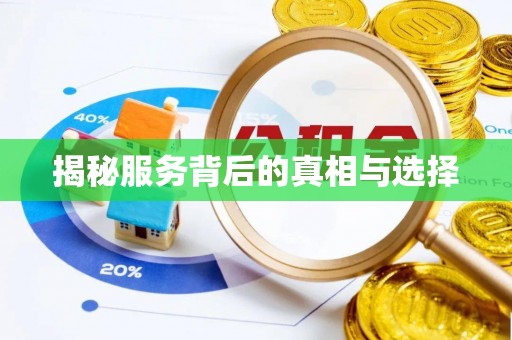 玄武揭秘服务背后的真相与选择