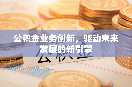 玄武公积金业务创新，驱动未来发展的新引擎