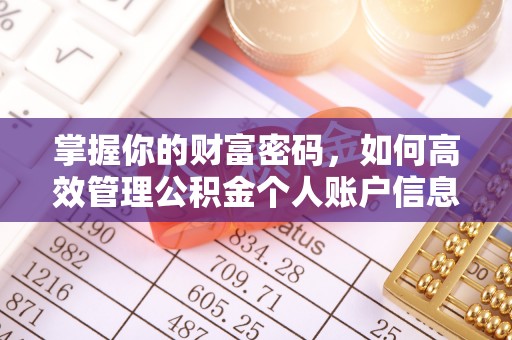 玄武掌握你的财富密码，如何高效管理公积金个人账户信息