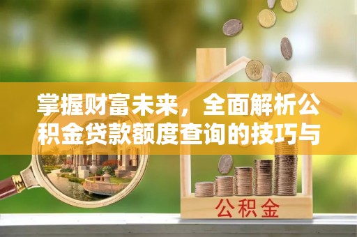 玄武掌握财富未来，全面解析公积金贷款额度查询的技巧与策略