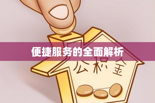 玄武便捷服务的全面解析