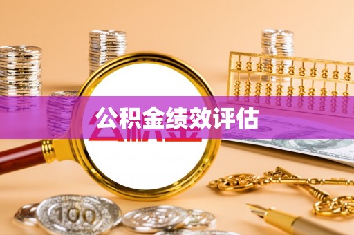 玄武公积金绩效评估