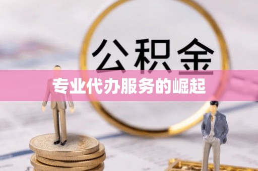 玄武专业代办服务的崛起