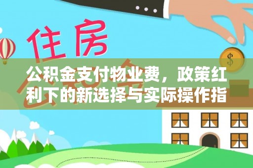 玄武公积金支付物业费，政策红利下的新选择与实际操作指南