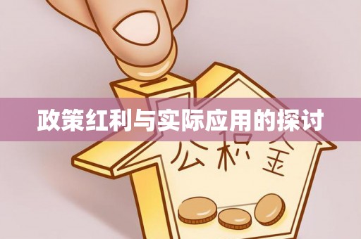 玄武政策红利与实际应用的探讨