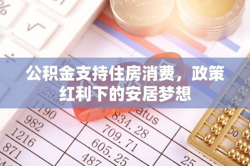 玄武公积金支持住房消费，政策红利下的安居梦想