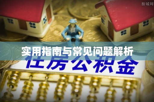 玄武实用指南与常见问题解析