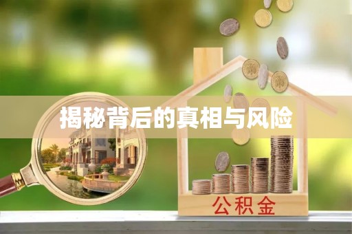 玄武揭秘背后的真相与风险