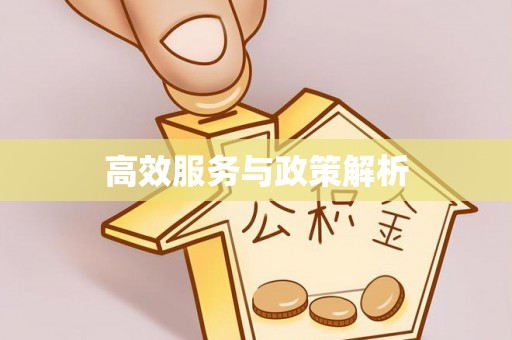 玄武高效服务与政策解析