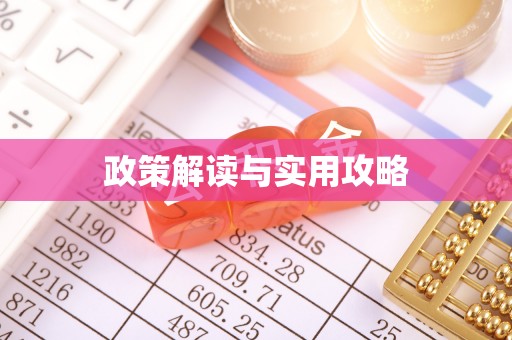 玄武政策解读与实用攻略