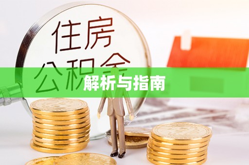 玄武解析与指南