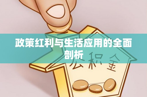 玄武政策红利与生活应用的全面剖析