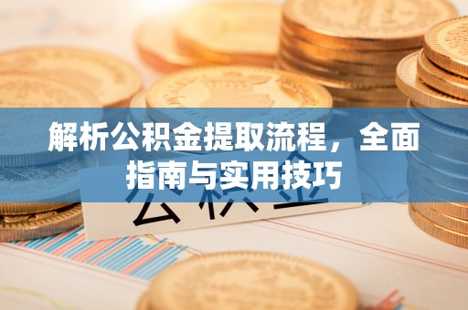 玄武解析公积金提取流程，全面指南与实用技巧