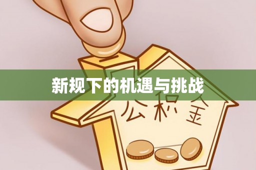 玄武新规下的机遇与挑战
