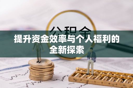 玄武提升资金效率与个人福利的全新探索
