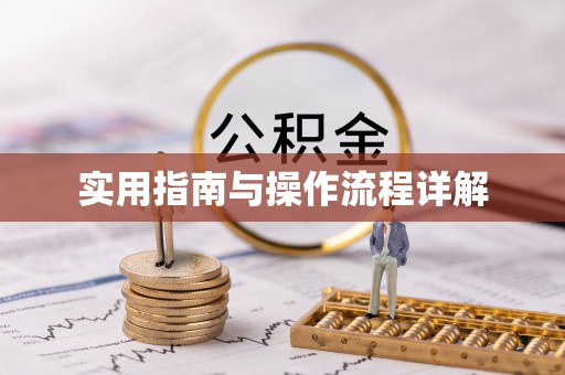 玄武实用指南与操作流程详解