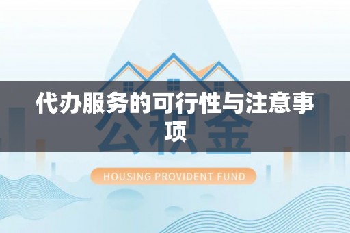 玄武代办服务的可行性与注意事项