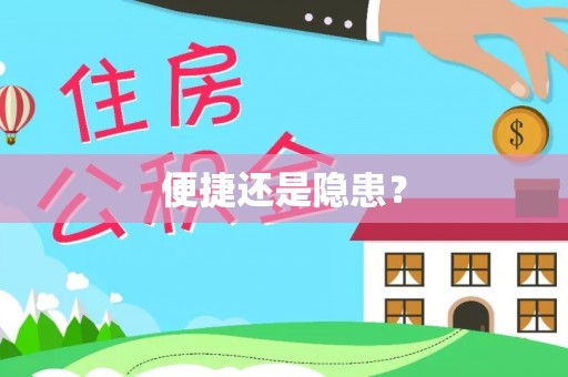 玄武便捷还是隐患？