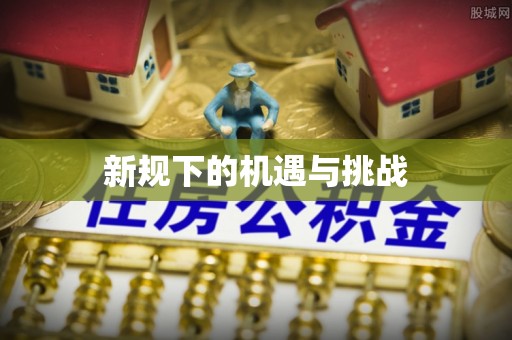 玄武新规下的机遇与挑战
