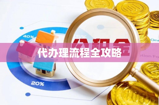 玄武代办理流程全攻略