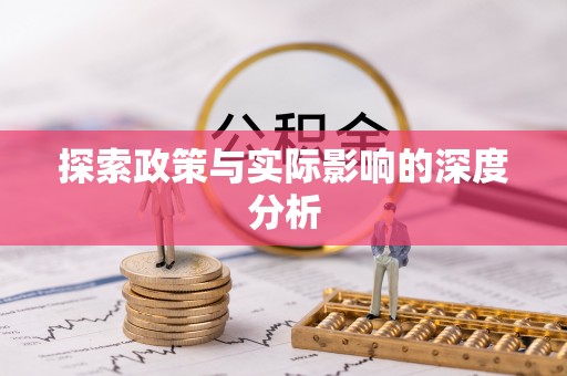 玄武探索政策与实际影响的深度分析