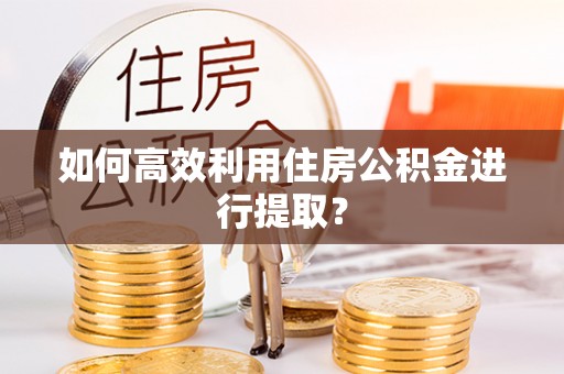 玄武如何高效利用住房公积金进行提取？