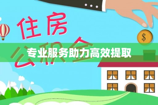 玄武专业服务助力高效提取