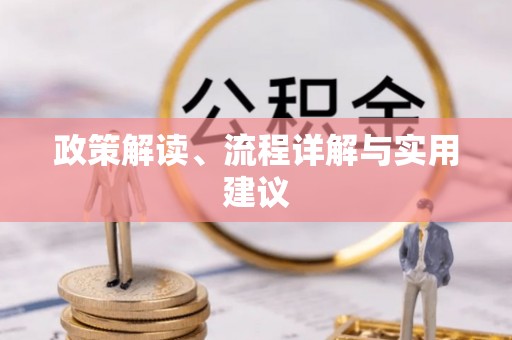 玄武政策解读、流程详解与实用建议
