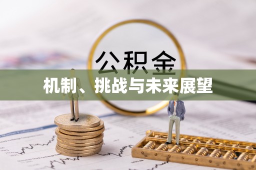 玄武机制、挑战与未来展望