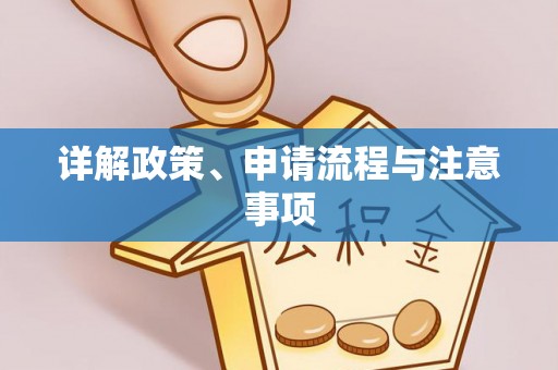 玄武详解政策、申请流程与注意事项