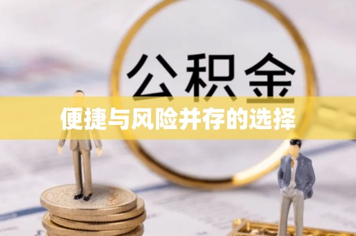 玄武便捷与风险并存的选择