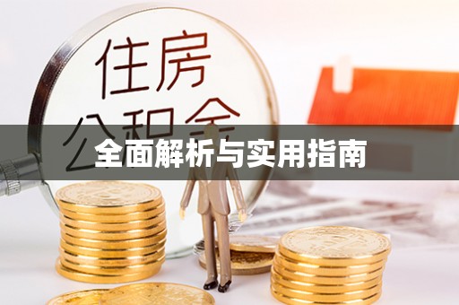 玄武全面解析与实用指南