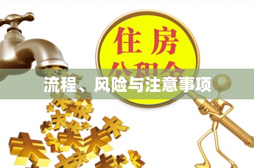 玄武流程、风险与注意事项